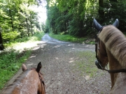 Chief_Josef_Trail_2012