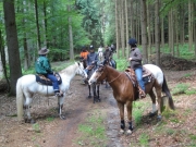 Chief_Josef_Trail_2012