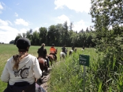 Chief_Josef_Trail_2012