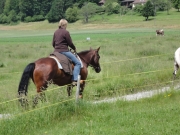 Chief_Josef_Trail_2012