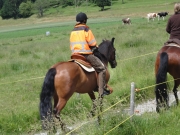 Chief_Josef_Trail_2012