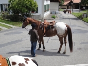 Chief_Josef_Trail_2012