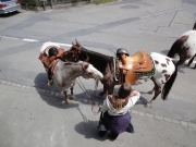 Chief_Josef_Trail_2012