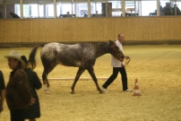 EM_Aachen_2009