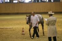EM_Aachen_2009