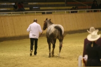 EM_Aachen_2009