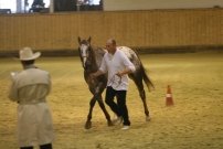 EM_Aachen_2009