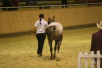 EM_Aachen_2009