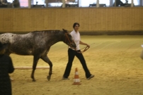 EM_Aachen_2009