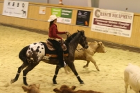 EM_Aachen_2009