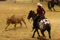 EM_Aachen_2009