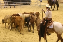 EM_Aachen_2009