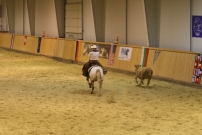 EM_Aachen_2009