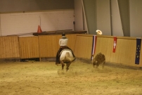 EM_Aachen_2009