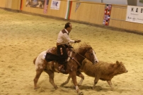 EM_Aachen_2009
