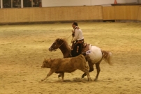 EM_Aachen_2009