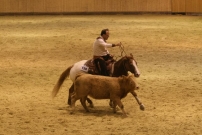 EM_Aachen_2009
