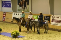 EM_Aachen_2009