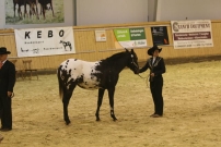 EM_Aachen_2009