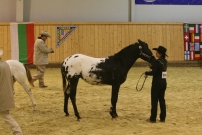 EM_Aachen_2009