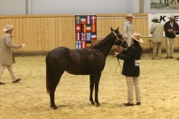 EM_Aachen_2009