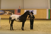 EM_Aachen_2009