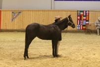 EM_Aachen_2009