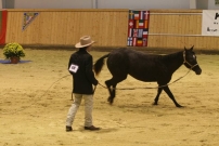 EM_Aachen_2009