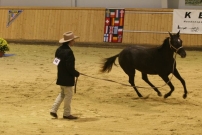 EM_Aachen_2009