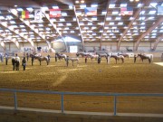 EM_Mooslargue_2013