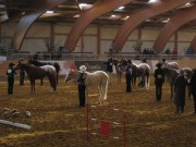EM_Mooslargue_2013