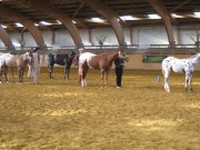 EM_Mooslargue_2013