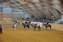 EM_Mooslargue_2014