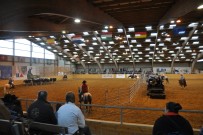 EM_Mooslargue_2014