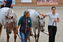 EM_Zduchovice_2017