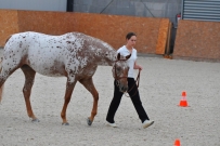 EM_Zduchovice_2017