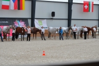 EM_Zduchovice_2017