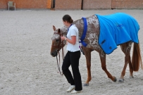 EM_Zduchovice_2017
