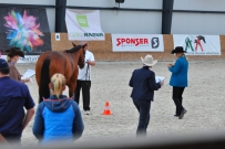 EM_Zduchovice_2017