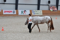EM_Zduchovice_2017
