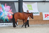 EM_Zduchovice_2017