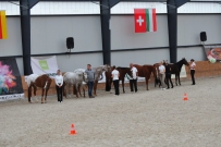 EM_Zduchovice_2017