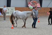 EM_Zduchovice_2017