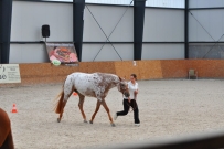 EM_Zduchovice_2017
