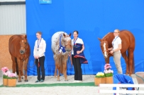 EM_Zduchovice_2017