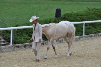 Eiken_2011
