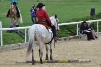 Eiken_2011