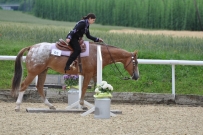 Eiken_2011