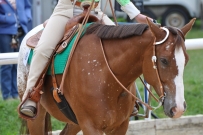 Eiken_2011