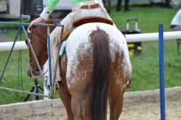Eiken_2011